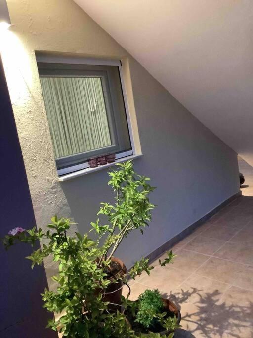 Ng Luxury Apartments At Nea Kallikrateia No 1 Bagian luar foto